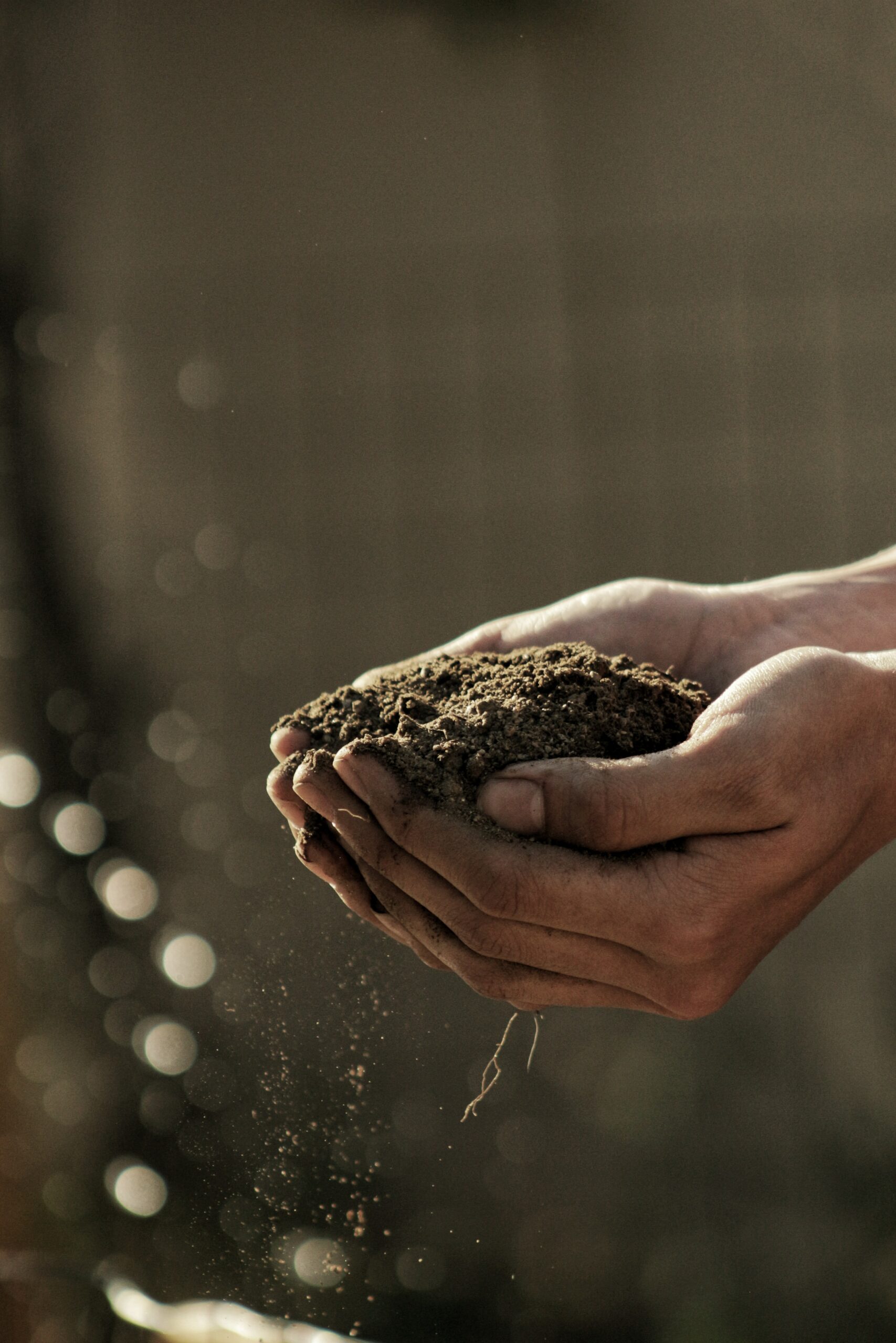 gabriel jimenez jin4W1HqgL4 unsplash scaled gabriel jimenez jin4W1HqgL4 unsplash scaled